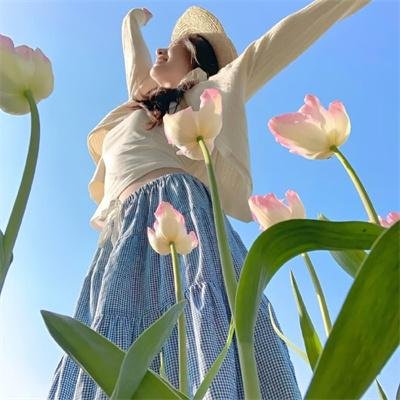 雌雄双谍
